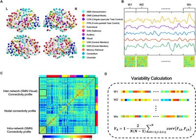 Abnormal Dynamic Functional Connectivity Associated With Subcortical Networks in Parkinson’s Disease: A Temporal Variability Perspective